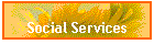 Social Services and Counseling
